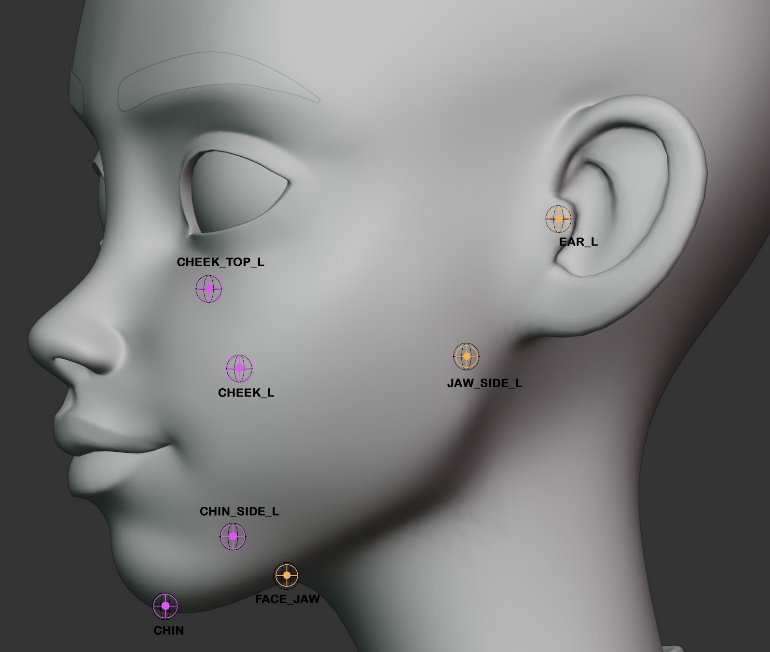 Chin, cheek, jaw, and ear markers, front view