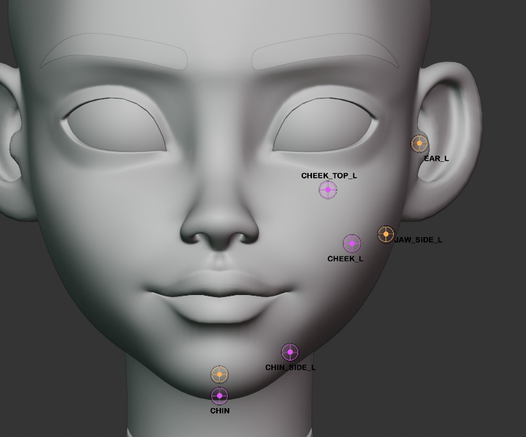 Chin, cheek, jaw, and ear markers, side view
